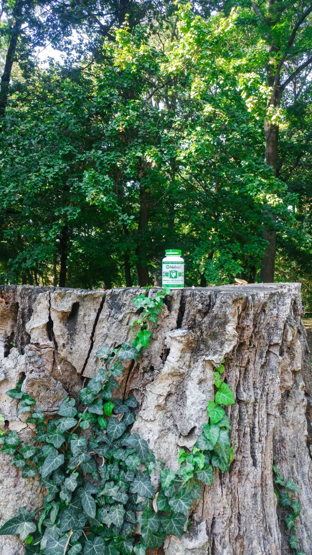 Bioheal kampány
